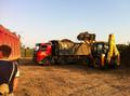 JCB трактор аренда