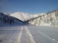 Требуются полуприцепы тралы на Зимник
