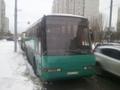 Заказ автобуса на 50 человек