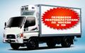 Перевозки продуктов питания и медикаментов рефрижераторами