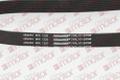 Ремень 8PK1226 cummins ISBe, ISDe в Новосибирке