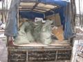 Вавоз мусора ГАзель ЗИЛ КАМАЗ