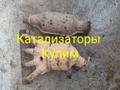 Скупка катализаторов в Самаре.